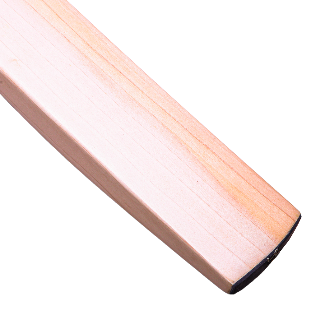 Kookaburra Big Kahuna Senior Cricket Bat