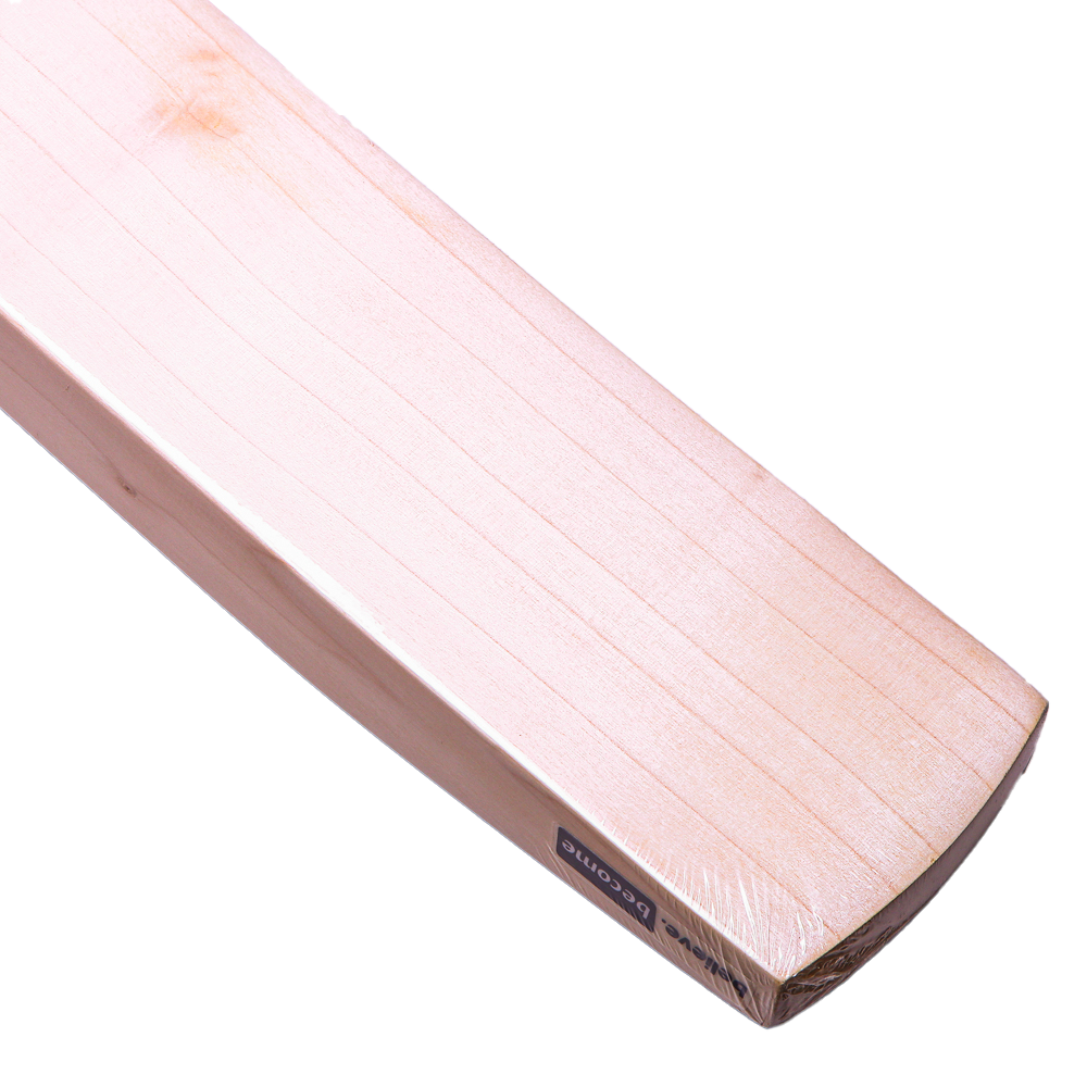 SG Savage Xtreme Senior Cricket Bat
