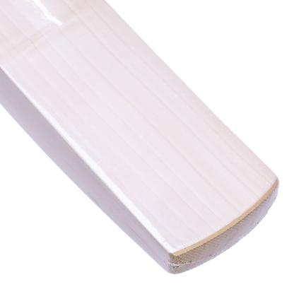 DSC FLIP SERIES 200 Senior Cricket Bat