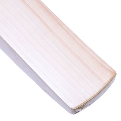 DSC Krunch Series 500 Senior Cricket Bat