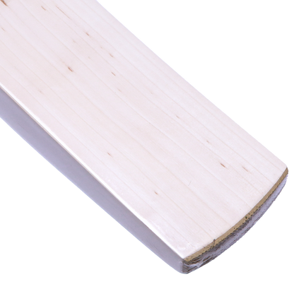 DSC Krunch Series 700 Senior Cricket Bat