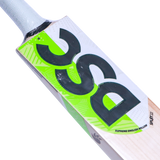 DSC SPLIT 22 Senior Cricket Bat
