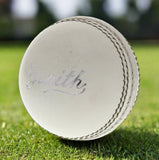 Cheap Kookaburra cricket ball