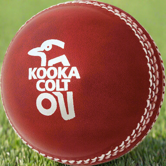 Kookaburra Colt Cricket Ball - Dozen
