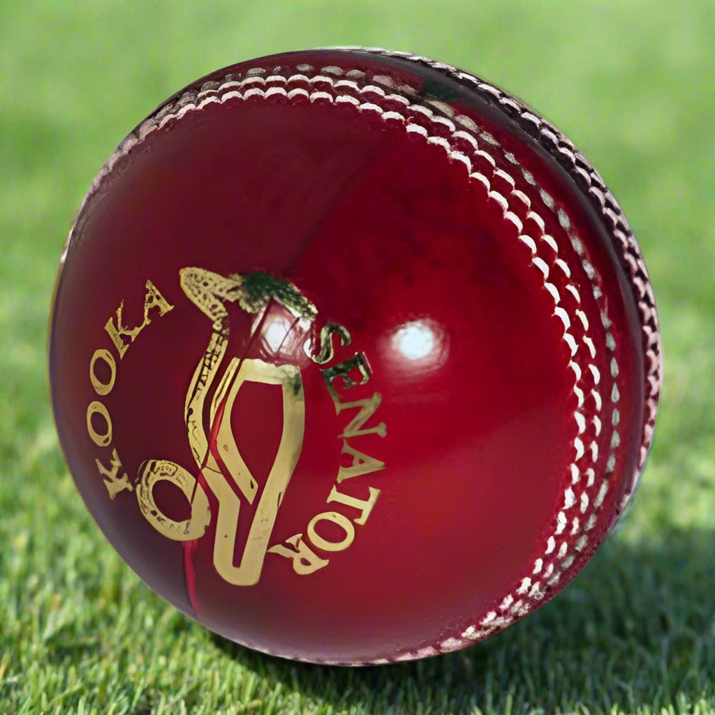 Kookaburra Senator/Silver 4pce Red cricket ball - DOZEN – The Cricket Sale