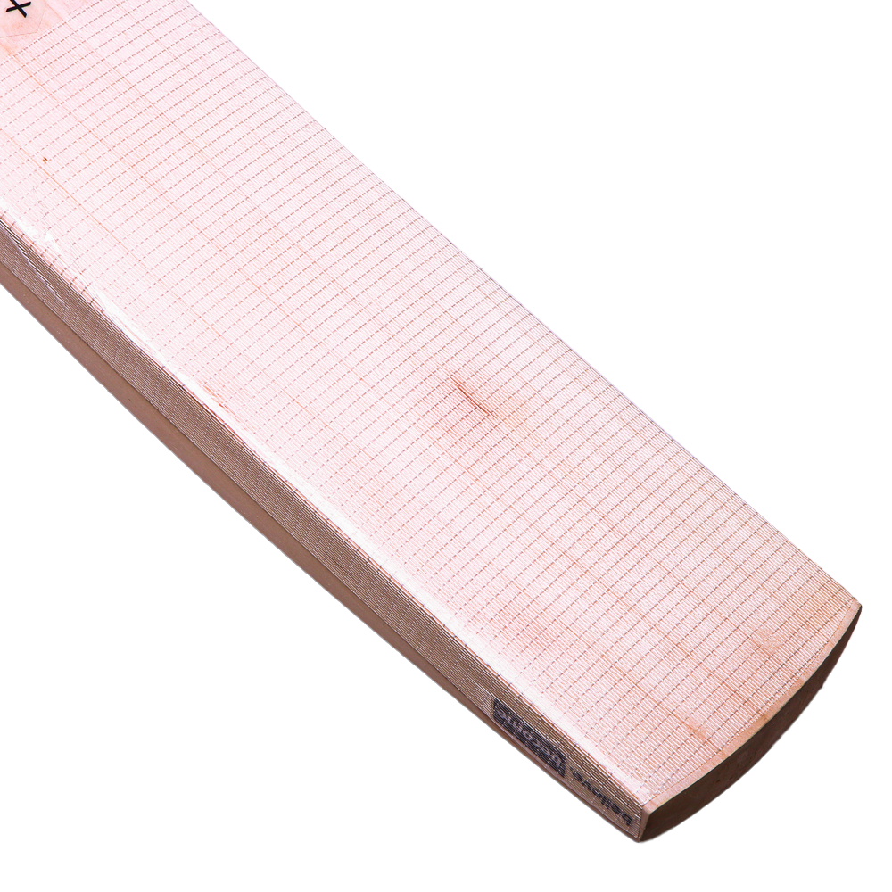 SG ROAR EXTREME CRICKET BAT