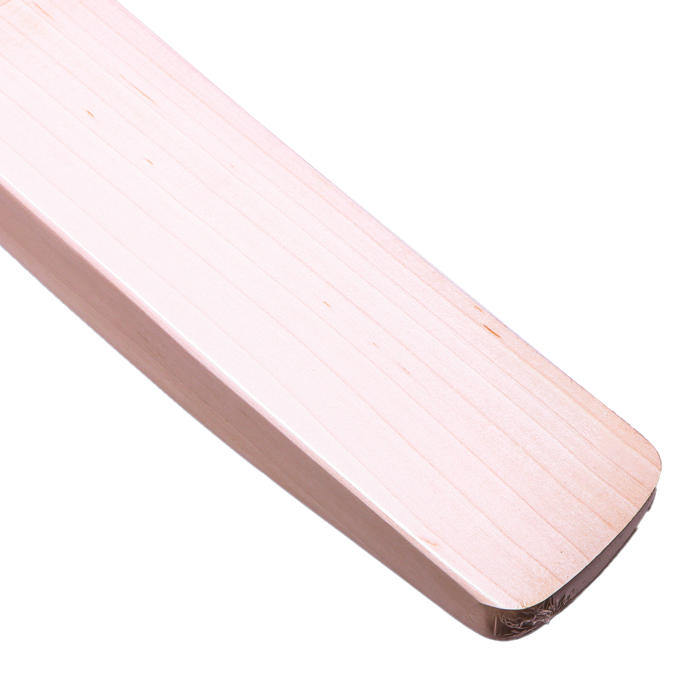 SG Sunny Tonny Classic senior cricket bat