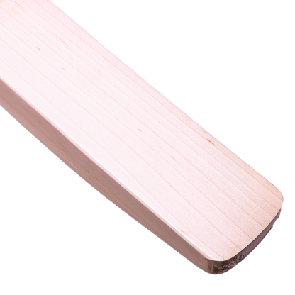 SG Sunny Tonny Classic senior cricket bat